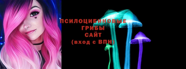 стафф Абаза